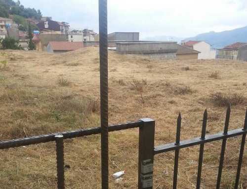 Le erbacce tagliate di via San Martino a Monreale