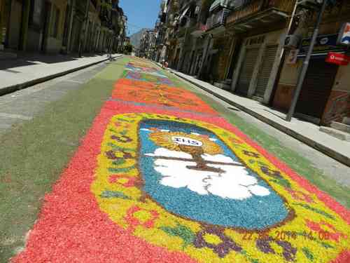 L'infiorata del 2014 (foto LEAS)