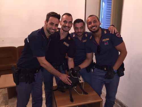 Il cucciolo salvato ieri dai poliziotti