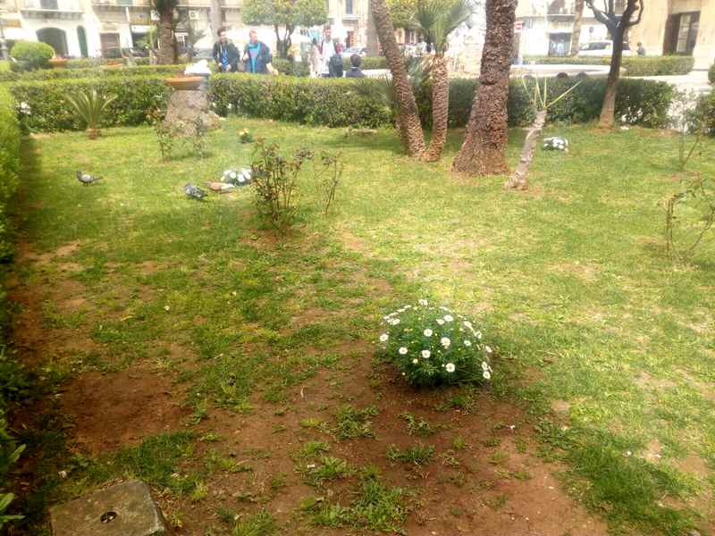 I fiori che stati trafugati
