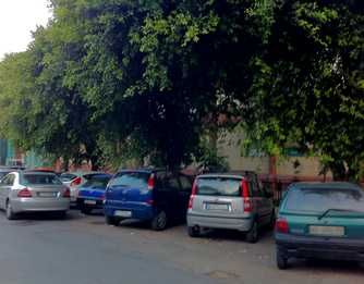 Le fronde degli alberi di via della Repubblica che ostruiscono il passaggio dei pedoni