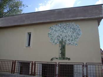 L'albero della legalità della Morvillo