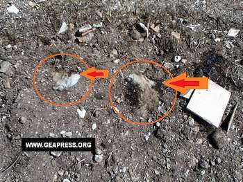 (foto Geapress.org)