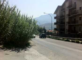 Il canneto dell'incrocio di via Venero