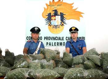 I carabinieri mostrano la marijuana sequestrata