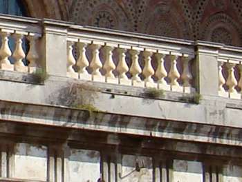 Le erbacce del duomo