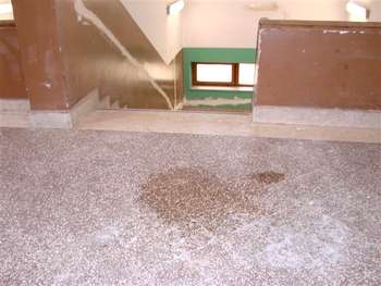 Acqua che gocciola all'interno della scuola
