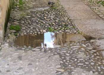 Una pozzanghera di liquami in via Piave
