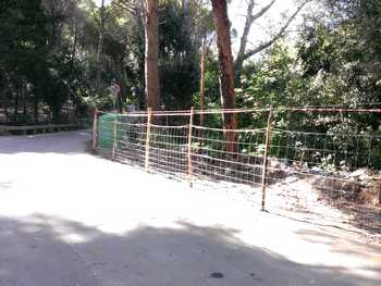 La recinzione dell'area Rinazzo