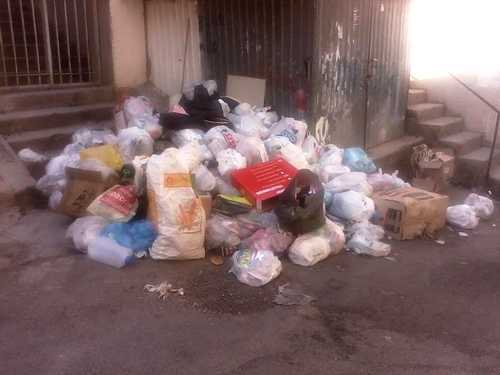 La foto è stata scattata dalla signora Maria Cangemi