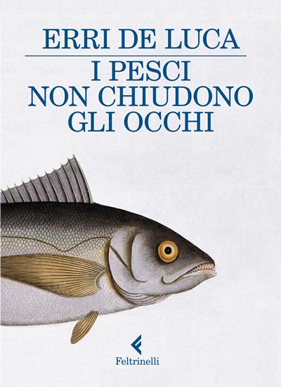 I-pesci-non-chiudono-gli-occhi